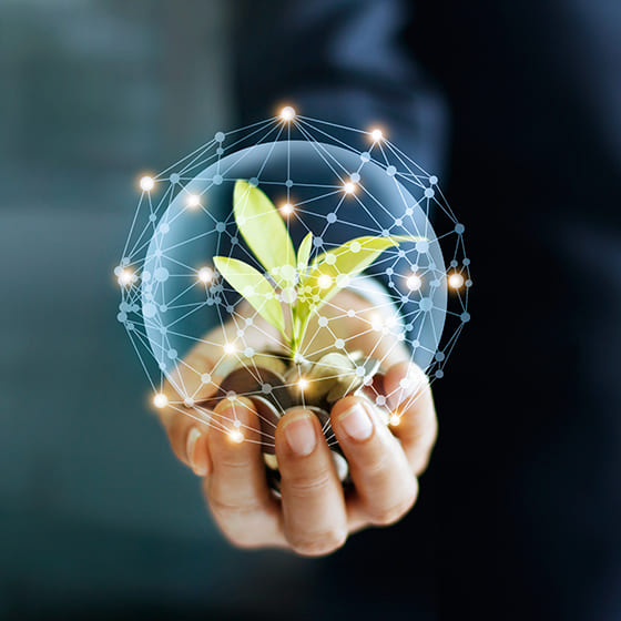 persona con una planta en la mano para arista ambiental
