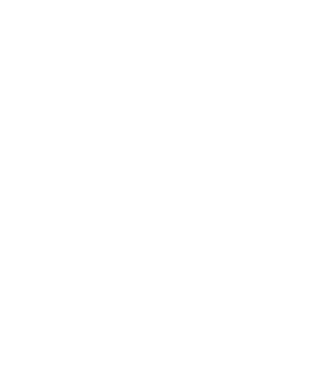 icono de experiencia