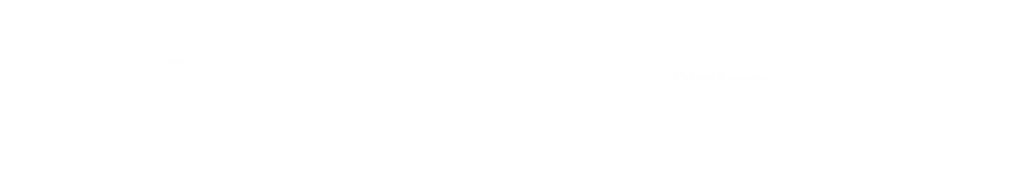 enterprise platform services logo gbm experto
